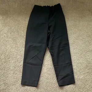 Prologue Black Ankle Pants